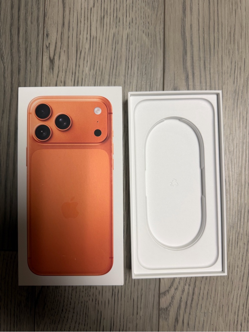 Apple I phone 17 pro max box only